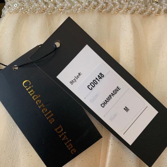 Cinderella Divine CD0148 (Champagne Color) - Picture 3 of 4
